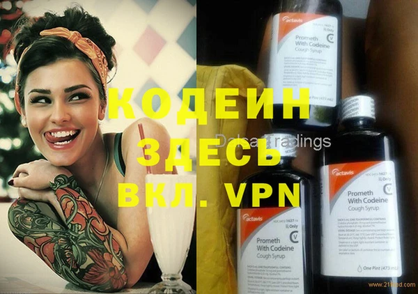 индика Балабаново