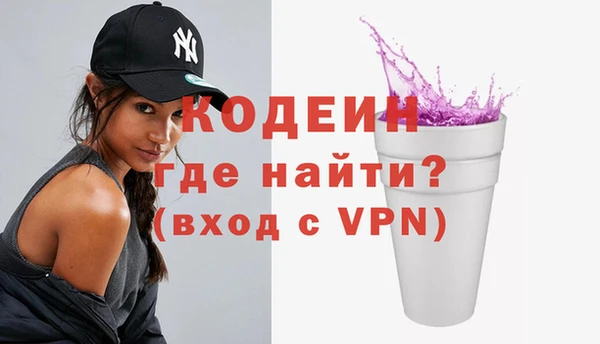 индика Балабаново