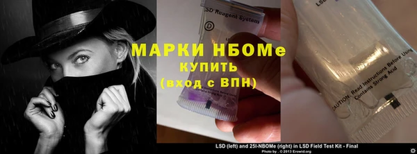 индика Балабаново