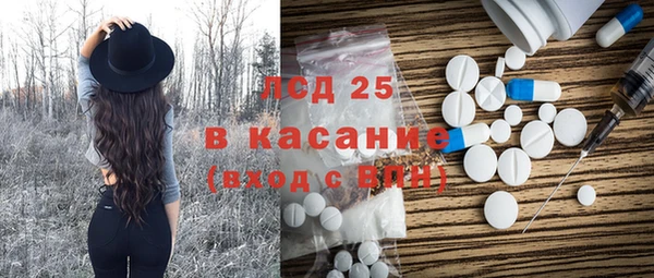 индика Балабаново