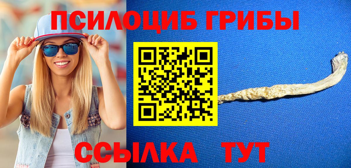 Псилоцибиновые грибы прущие грибы Соль-Илецк