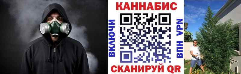 Канабис тримм  как найти закладки  Соль-Илецк 